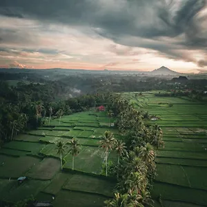 Ayu Duwur Beji Pensión