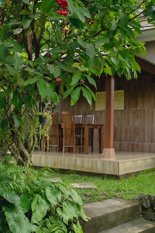 Mancur Guesthouse أوبود