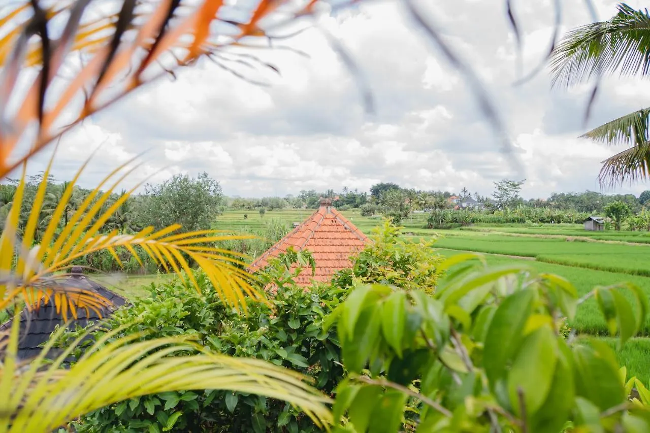 Mancur Guesthouse أوبود بيت ضيافة