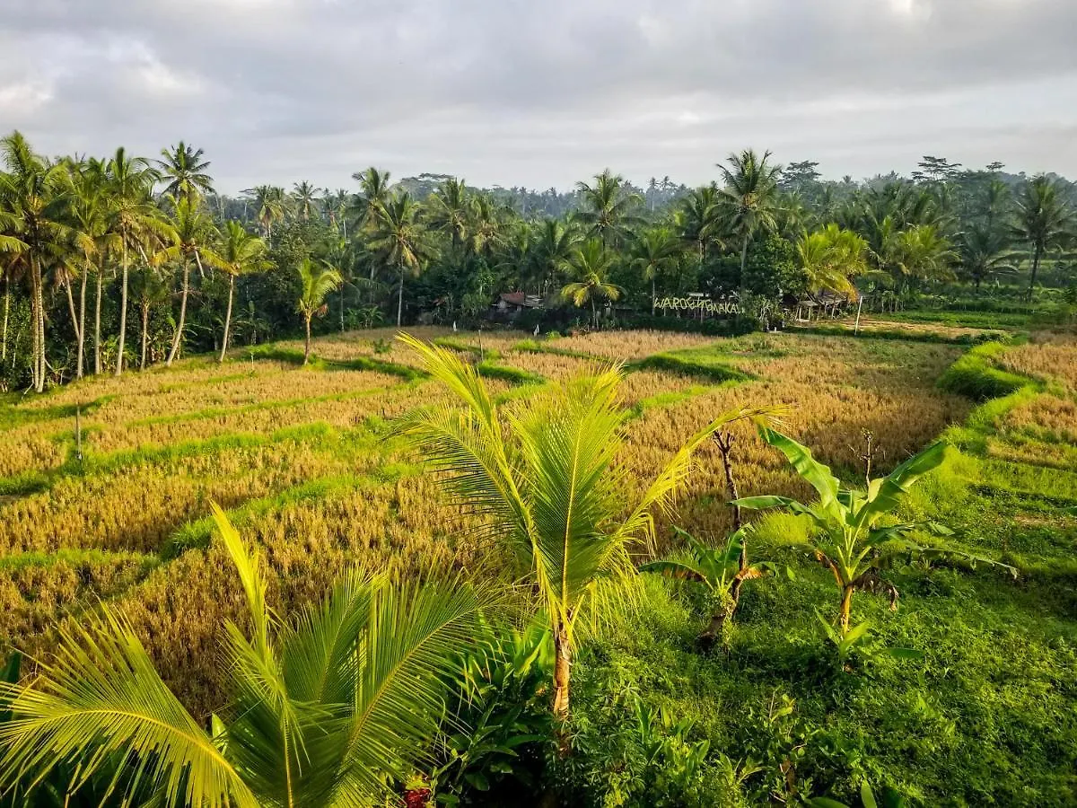 Mancur Guesthouse Ubud  2*, Ubud (Bali)
